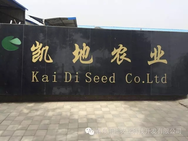 2017ʮЇ_˹̹ЇƷչ[AMekCʡ̄(w)dFPw