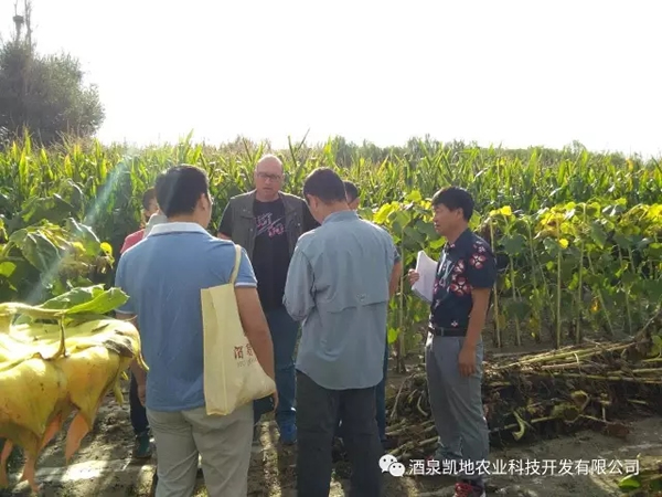 Қgӭ(ni)⌣Ҽ͑WRҹ˾ƷNԇ^ĦW