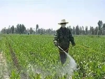 ʲôrgˎãǧfӛee